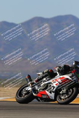 media/Nov-11-2023-SoCal Trackdays (Sat) [[efd63766ff]]/Turn 8 Set 2 (1040am)/